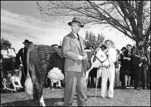 Julius M. Kleiner, photo from the 1940s as he acquires a prize cow at an agricultural fair